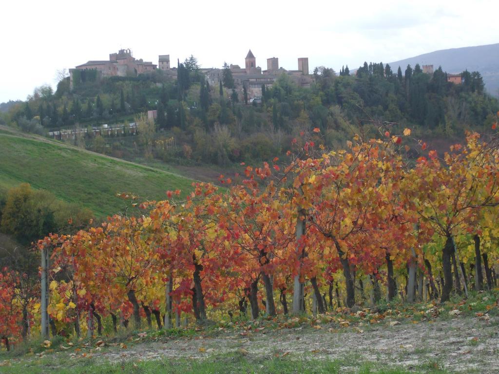 Agriturismo Il Torrione Certaldo Eksteriør billede