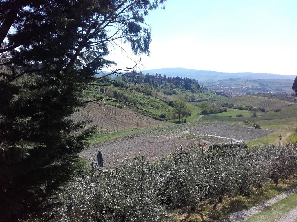 Agriturismo Il Torrione Certaldo Eksteriør billede