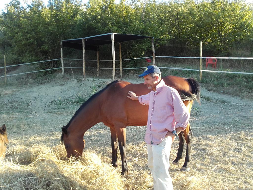 Agriturismo Il Torrione Certaldo Eksteriør billede