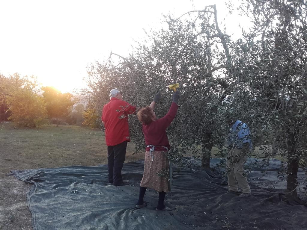 Agriturismo Il Torrione Certaldo Eksteriør billede