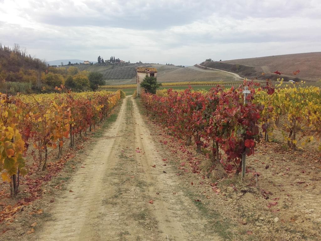 Agriturismo Il Torrione Certaldo Eksteriør billede