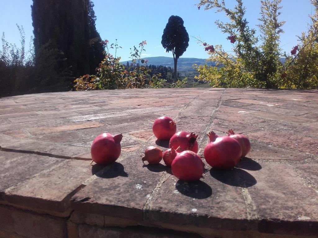 Agriturismo Il Torrione Certaldo Eksteriør billede