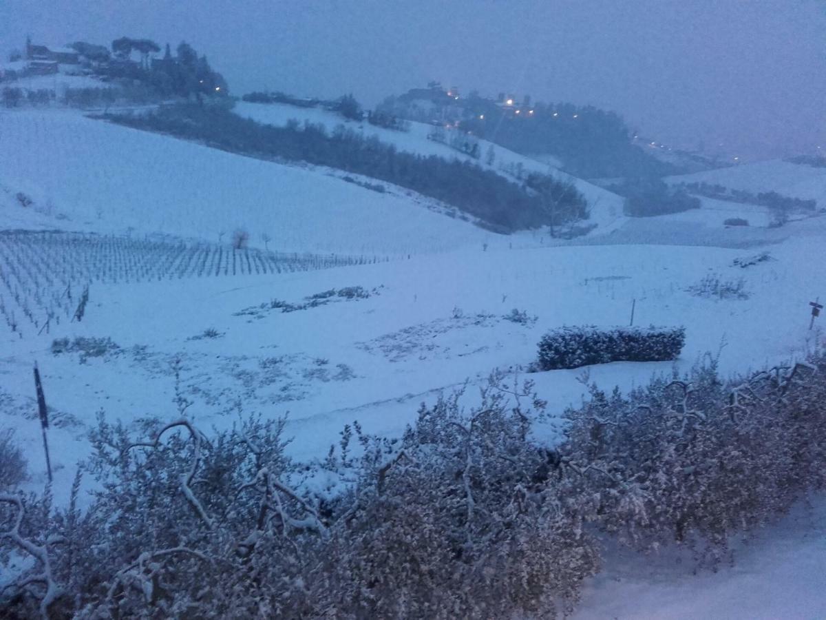 Agriturismo Il Torrione Certaldo Eksteriør billede