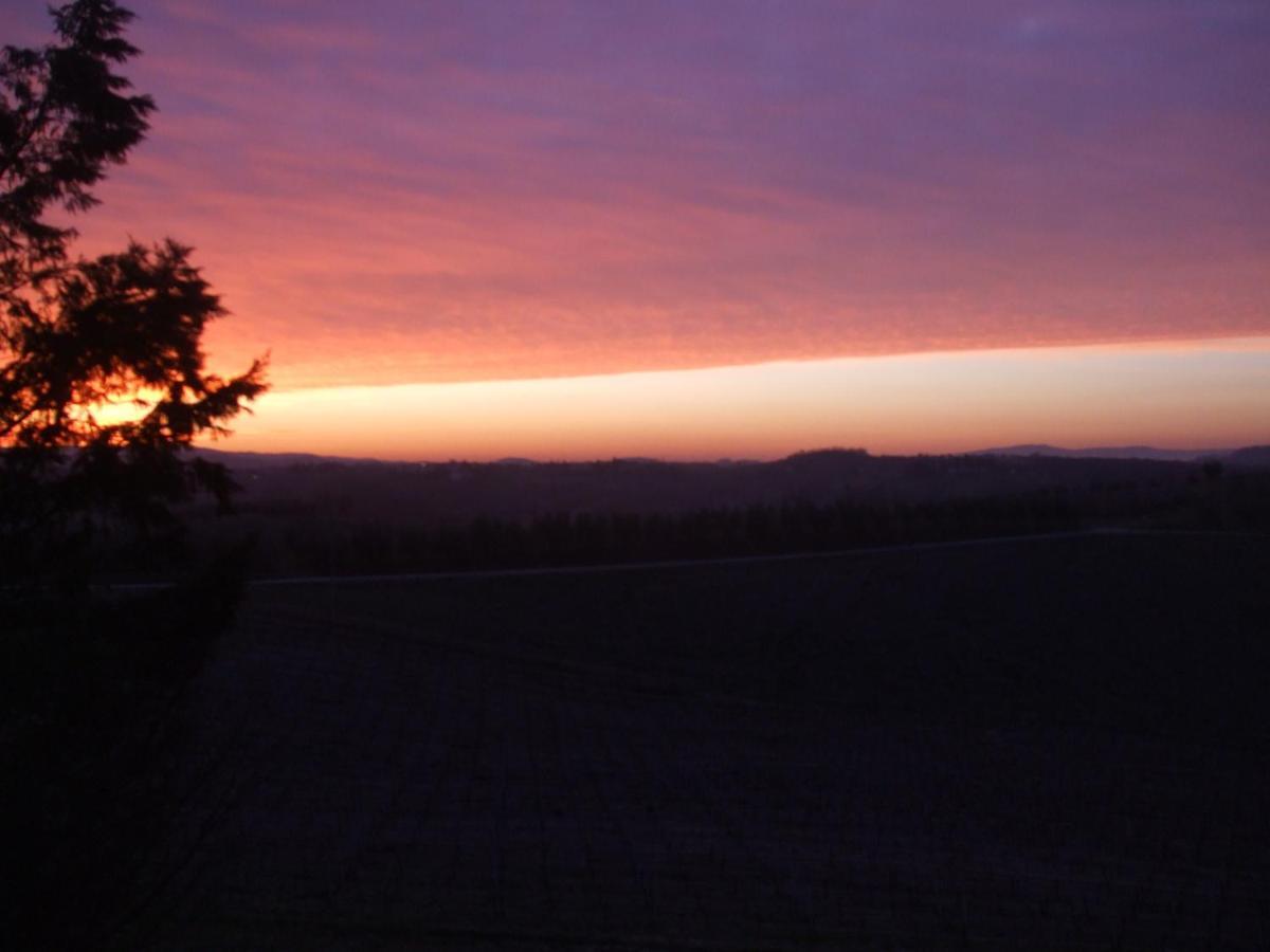 Agriturismo Il Torrione Villa Certaldo Værelse billede